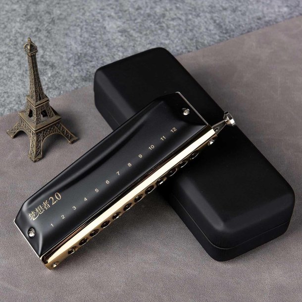 Easttop Dream 2.0 - 12 huls kromatisk mundharmonika C